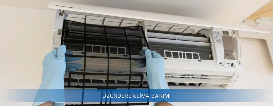 Uzundere İlçemi General Electric Klima Bakımı